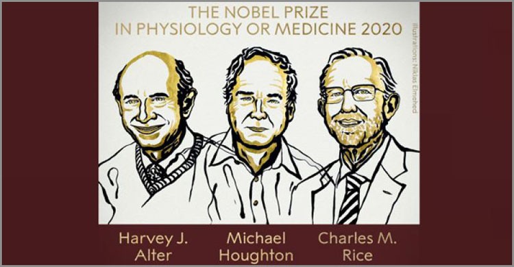 হেপাটাইটিস সি আবিষ্কার করে ৩ চিকিৎসা বিজ্ঞানীর নোবেল বিজয়